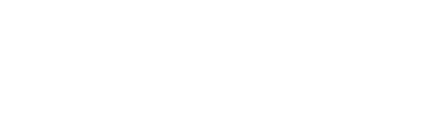 Koning Casino Provider